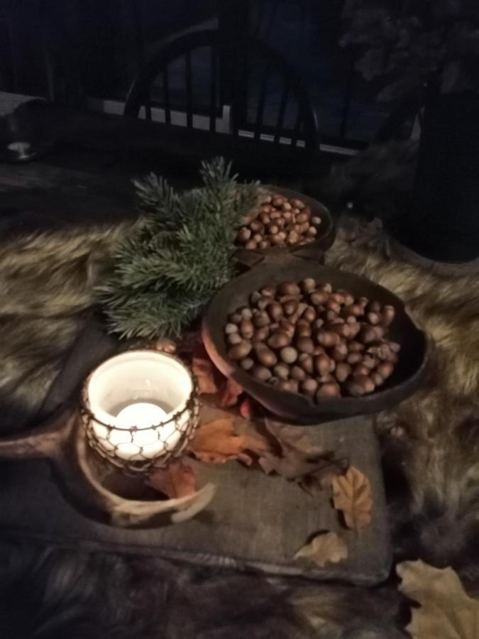 Le Hangar Des Voyageurs Petit-Halleux Dış mekan fotoğraf